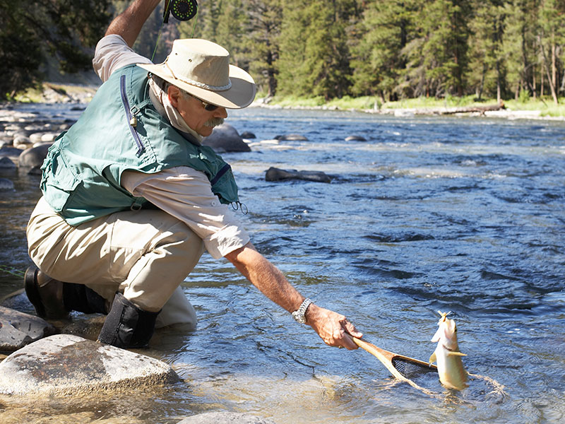 Get a Fishing or Hunting License Service Details